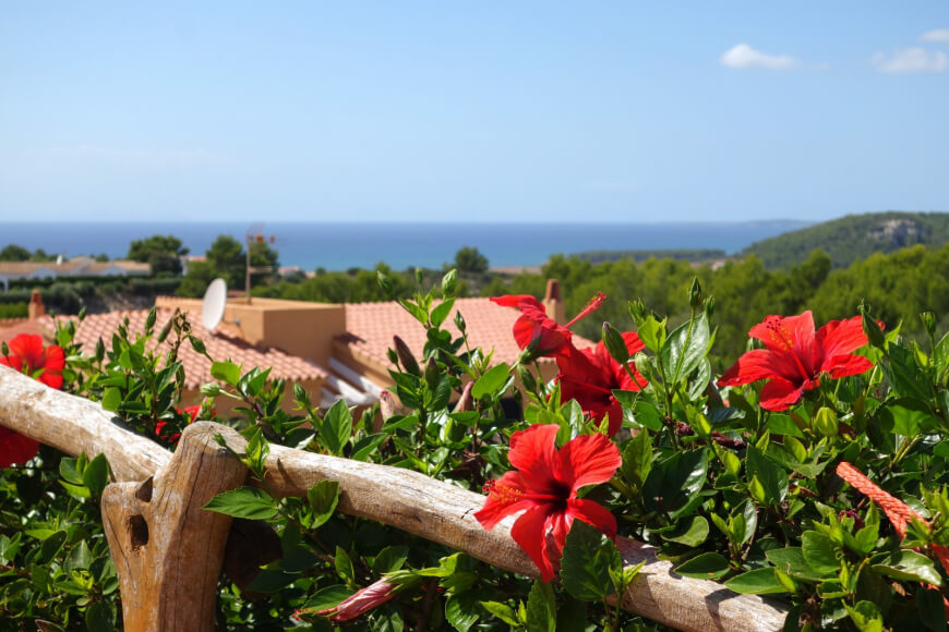 Villas Menorca Sur